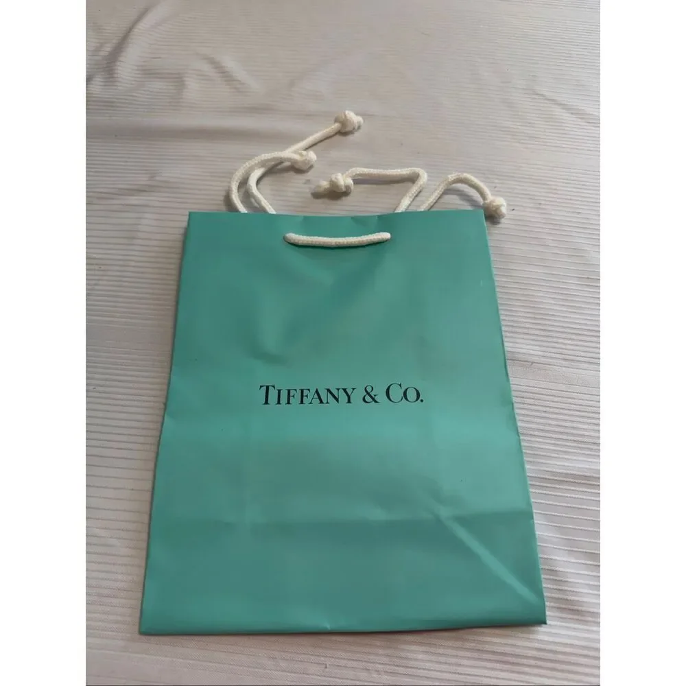 Tiffany & Co. Shopping Bag